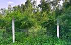 3,638 ft² Land at Mtwapa Cbd - 11