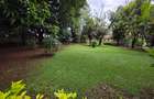Commercial Land in Lavington - 3