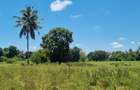 6 ac Land at Mtepeni - 3