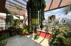 4 Bed Apartment in Parklands - 12