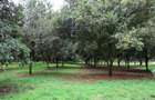 0.125 ac Residential Land at Thika Grove Chania-Opposite Blue Post Hotel - 8