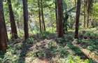 0.5 ac Land at Kirawa Road - 2