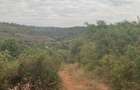 0.5 ac Residential Land at Muthatari - 4