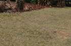 0.25 ac Land in Thika - 4