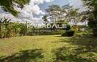 0.6 ac Commercial Property with Parking in Lavington - 19