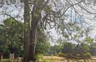 2.5 ac Residential Land at Old Kitisuru - 1