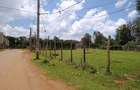 Land in Langata - 5