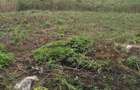 0.113 ac Land in Ngong - 3