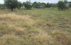 0.125 ac Residential Land in Ongata Rongai - 2