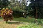 4 Bed House in Runda - 6