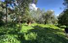 0.5 ac Land in Lake View - 3