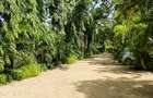 Land at Mtwapa - 8