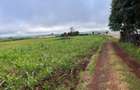 3.7 ac Land at Kiambu - 8
