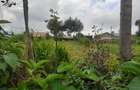 0.25 ac Land at Njabini Town - 8
