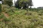 0.125 ac Land in Kikuyu Town - 15
