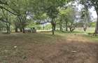 Commercial Land at Mt Kenya - 9