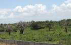 1,012 m² Residential Land at Diani Beach Road - 18