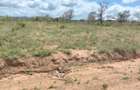 Land at Garissa Road - 8