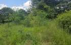 Residential Land in Ongata Rongai - 4