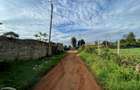 0.5 ac Residential Land in Nyeri - 7
