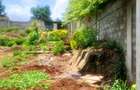 0.5 ac Residential Land at Runda - 9