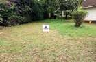 0.125 ac Land at Muchatha - 6
