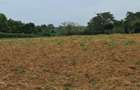 Residential Land in Kilifi - 3