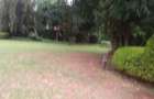 4 Bed House with Staff Quarters in Gigiri - 2