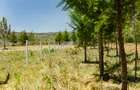 Residential Land at Moi South Lake Road - 5