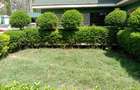 5 Bed Townhouse with En Suite at Milimani - 14