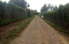 0.125 ac Residential Land at Vineyard Estate - 6