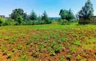 500 m² Residential Land at Runana Area - 7