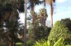 4 Bed Townhouse with En Suite in Kiambu Road - 4