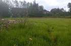 Land in Karen - 6