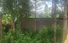 Land in Karen - 3