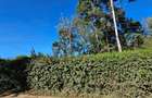 506 m² Land at Kibiko Centre Near Tarmac - 7