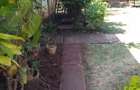 0.25 ac Land in Langata - 1