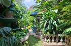 Furnished 1 Bed Apartment with Backup Generator in Runda - 7