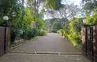 5 Bed Townhouse with En Suite in Rosslyn - 9