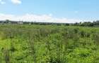 Land at Vipingo - 15
