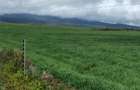 314 ac Land at Timau - 28