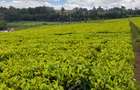 0.5 ac Land at Riara Ridge Tigoni - 5