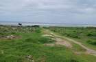 2 ac Land in Watamu - 5