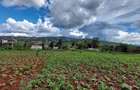 Land at Kibiko - 1