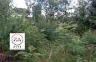 0.125 ac Land at Kasphat Estate - 16