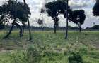 1 ac Land in Vipingo - 1