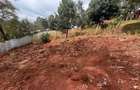 0.25 ac Land in Nyeri - 15