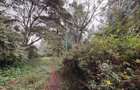 1.6 ac Land in Riverside - 5