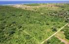 Land at Kuruwitu Beach Vipingo - 10