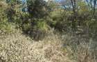 1.19 ac Residential Land at Mukoma - 5